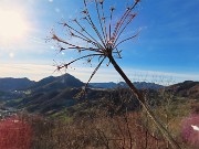 MONTE CASTELLO (croce 1425 – cima 1474 m) da Valpiana di Serina il 7 dicembre 2023 - FOTOGALLERY